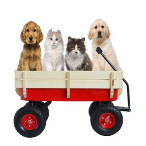 Carrello Utilitario in Legno Rosso con Pneumatici per Sport all'Aperto - Product Image 2