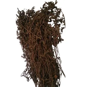 เยลลี่หญ้า/คุณภาพสูง/ราคาที่ดีที่สุด/ตัวเลือกที่สมบูรณ์แบบ/ผลิตภัณฑ์ที่ดีใน2022โดย Ms.wendy - Product Image 1