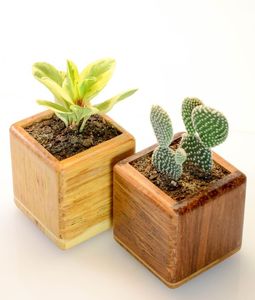 Customizable Wholesale Wooden Planter Box with Trellis for Climbing Plants Balcony Courtyard Decorative <b>Gardening</b> <b>Supplies</b> - Product Image 1