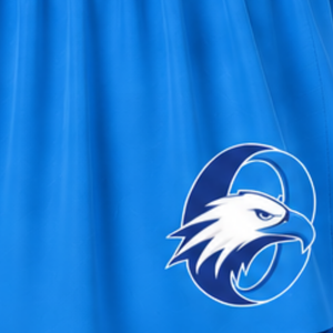 Jupe de cheerleading bleu ciel plissée, jupe d'uniforme athlétique avec bordure rayée, tenue de performance d'équipe, vêtements de sport personnalisés - Product Image 5