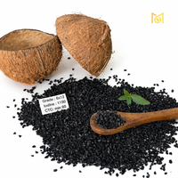 Charbon actif de coque de noix de coco Vitronexa pour procédé de lixiviation de l'or CIP CIL, pureté minimale 99%, fabricant du Tamil Nadu, granulé noir