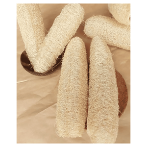 Éponges de loofah naturelles séchées, matériau en fibres de loofah écologiques pour éponge de cuisine et éponge corporelle, fabricant vietnamien - Product Image 2