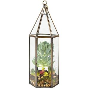 Modern Polygon Glass <b>Storage</b> <b>Box</b> With Brass Frame Transparent Design <b>For</b> Home <b>Decor</b> - Product Image 4