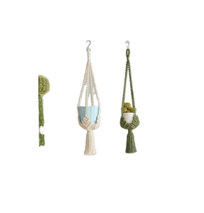Customized Macrame Plant Hanger for <b>Wall</b> and Window Decoration Color Material Mamba Origin Iron - Product Image 1