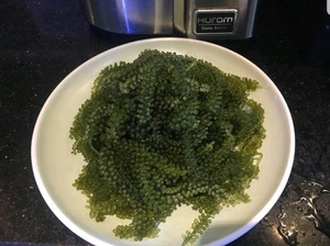 Caviar vert naturel aux raisins de mer | Approuvé Halal pour les marchés internationaux - Product Image 3