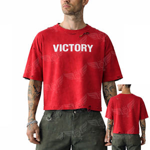 Camiseta Corta Desgastada Personalizada 2026, Estilo Vintage, Color Rosa, para Hombre y Mujer - Product Image 4