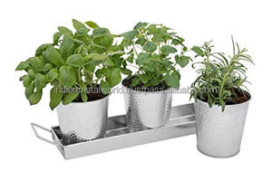 Cubo de hierro moderno, macetas y jardineras personalizadas para decoración del hogar y jardín, jardineras de hierro baratas para la India - Product Image 4
