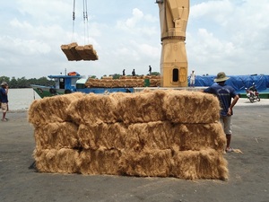 Meilleures ventes : Fibre de coco écologique de qualité supérieure, matériau en écorce de noix de coco de haute qualité pour la fabrication de cordes, rembourrage d'emballages, en vrac - Product Image 6