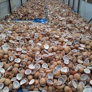High Quality Fully Matured White Copra Dried Coconut Kernel Edible Export Grade Bulk Supply Indonesia Food Industry 12 Months - Product Image 6