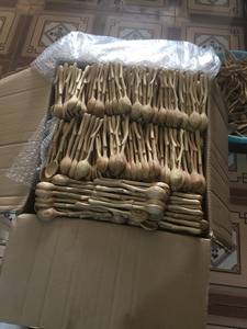 Mini cuillère en bois biodégradable sans BPA sans danger avec des aliments chauds écologiques recyclables par 99 Gold Data Manufacturer - Product Image 5