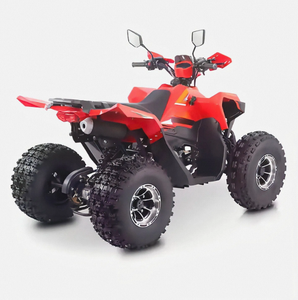 Quad 4 roues Chithan de haute qualité, nouveau modèle DIY pour adultes, 125cc, 4x4, moteur 4 temps, poignée en plastique, OEM/ODM, garantie 3 ans, CE - Product Image 4