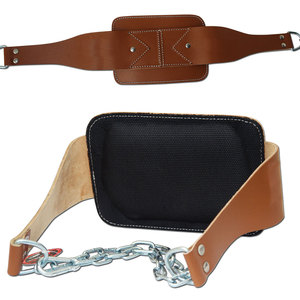 Ceinture de musculation avancée pour dips, ceinture de dips renforcée pour athlètes, ceinture de dips pour la musculation en salle de sport, ceinture de dips pour la prise de masse musculaire - Product Image 5