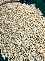 Vietnamese Biologische Natuurlijk Geroosterde Cashewnoten - Topkwaliteit W320 - Knapperige Snacks - Groothandelslevering - Fabrieksprijs