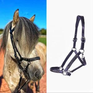 Licol de cheval en cuir de qualité supérieure Meilleur prix Couleur personnalisable Équipement équestre noir pour votre compagnon équin - Product Image 2
