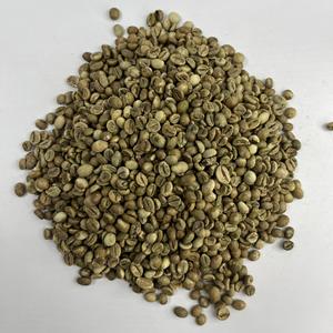 Vietnam Robusta Coffee Raw Green <b>Beans</b> Ripe 95% Ready for Custom Packaging Export and Roaster Supply - Product Image 4