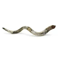 Corne de Shofar polie, artisanale, en corne animale naturelle, pour l'art religieux décoratif