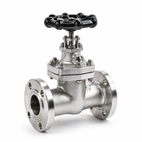 Vanne à opercule manuelle J41H CF8M Classe 300 pour applications industrielles pétrolières et gazières avec corps en acier inoxydable