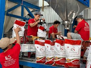 ข้าวขาวเมล็ดยาว เนื้อนุ่ม อบแห้ง ผลผลิตปี 2024 คุณภาพสูง เกรดพรีเมียม AAA (คุณเอเลน่า - +84 966 659 976) - Product Image 5