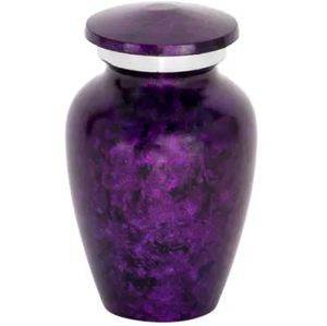 Casket Funerary Urn Ossuary Cinerary Human <b>Memorial</b> Urn Classical Set Adult Pet Brass and Funeral - Product Image 1