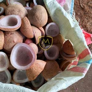 Poudre de coprah riche en protéines du Vietnam pour l'alimentation animale Kim Minh International, emballée en sac PP-PE, durée de conservation de 12 mois, conserver au frais - Product Image 3