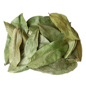 Usine prix de gros feuilles de corossol séchées 100% naturel organique séché au soleil Premium minceur tisane EXPAD marque approvisionnement en vrac - Product Image 1
