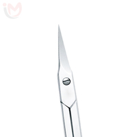 Ciseaux professionnels pour couper les ongles, ciseaux de manucure, lame incurvée, pointe acérée, acier inoxydable, outil de pédicure pour salon de beauté