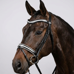 Brida de cuero con logo personalizado al por mayor, con brillantina incrustada, acolchada, para caballo, equipo de doma anatómica, de acero inoxidable - Product Image 3