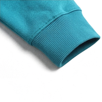 Sweat-shirt à capuche personnalisé de qualité supérieure pour hommes et femmes, en molleton épais, style streetwear, vente en gros