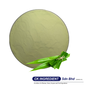 ผงสกัดใบเตยคุณภาพพรีเมียม ฮาลาล รับผลิตแบบ OEM สำหรับธุรกิจ B2B รับประกันคุณภาพจากผู้ผลิตชั้นนำ ยอดขายอันดับหนึ่ง สีผสมอาหารธรรมชาติจากใบเตย - Product Image 2