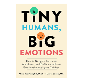 Humanos Pequeños, Grandes Emociones — Una Guía de Parenting Amigable para Comprender los Sentimientos de los Niños y Fomentar el Desarrollo (Suministro al por Mayor) - Product Image 2