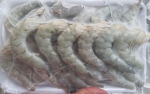 ผู้ส่งออกกุ้งแวนนาไมแช่แข็งที่ได้รับการรับรองมาตรฐาน HACCP จากเวียดนาม - Product Image 1