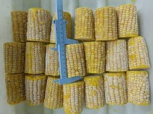 ข้าวโพดหวานแช่แข็ง IQF แบบทั้งฝัก หวานธรรมชาติ พร้อมรับประทาน บรรจุภัณฑ์ขนาดใหญ่ สำหรับโรงแรม ร้านอาหาร ขายส่ง ส่งออก - Product Image 4