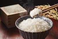 Fournisseur en gros de riz instantané de qualité supérieure, texture et arôme originaux, en vrac, 1 kg, pour importateurs