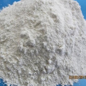 Hueso de Sepia a Granel de 4-5 Pulgadas, Calidad Premium, Exportador y Comerciante de Hueso de Sepia de Vietnam para el Mercado de Mascotas 25 - Product Image 2