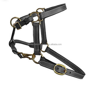 Cabestro de caballo de cuero clásico marrón negro con doble costura y relleno con hebilla de latón macizo y anillos Tamaños personalizados disponibles - Product Image 3
