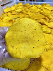 Wholesale Soft <b>Dried</b> <b>Mango</b> | Premium Natural Soft <b>Dried</b> <b>Mango</b> from Vietnam | Bulk Supply Organic <b>Dried</b> <b>Mango</b> for B2B - Product Image 2