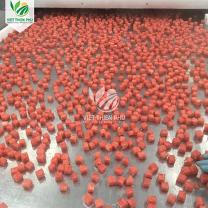 แตงโมออร์แกนิกแช่แข็ง IQF – คุณภาพพรีเมียม – ส่งตรงจากเวียดนาม - Product Image 6