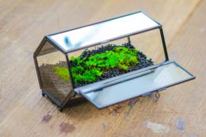 Wholesale Modern Black Metal <b>Frame</b> Mini Glass <b>Plants</b> Terrarium Tabletop Vase with Breathing Holes - Product Image 3