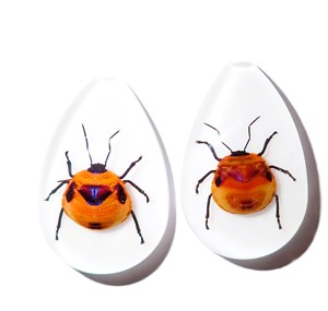 Cabujón de Plástico con Espécimen Real de Insecto Floral, Corte Pera, Parte Superior de 46x30 mm, Base Plana Blanca para Manualidades y Joyería - Product Image 4