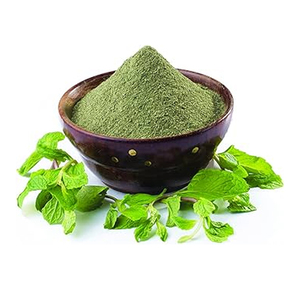 Poudre de menthe de qualité supérieure, herbe séchée finement broyée pour cuisines commerciales, disponible à prix abordable - Product Image 3