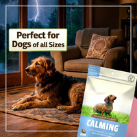 Premium Naturel Organique Sûr Anxiété Soulagement Du Stress Calmant Doux À Mâcher Chiens Chats Jeunesse Chiot Huile De Graines De Chanvre Swift Relaxation Rapide
