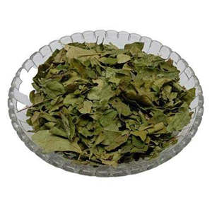 Hojas de curry Murraya koenigii Kadi Patta Hojas de Neem dulces Kari Patte Hierbas crudas secas Extracto de plantas al por mayor Producto a base de hierbas - Product Image 3