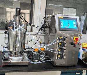 Fermentador de laboratorio Bailun 20L biorreactor de vidrio para cultivo de algas con luz LED - Product Image 5