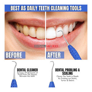 Professional Dental Tools Tartar Scraper for Dentist Personal Use and Pets Plaque Remover for Teeth Premium Oral Care Double - Product Image 6