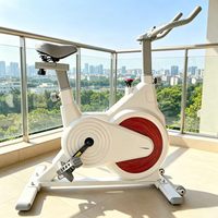 Vélo de spinning magnétique professionnel chinois pour la maison et la salle de sport, idéal pour l'exercice aérobie et le fitness en intérieur