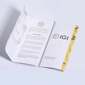 Wholesale IGI Certified 3.02 Carat Round Shape Lab Grown Diamond CVD HPHT F Color VVS2 Loose Diamond for Engagement Ring - Product Image 6