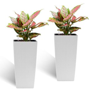 Juego de 2 Macetas Cuadradas de Diseño de Ratán Sintético de 22 Pulgadas de Alto con Sistema de Riego Automático para Porche, Patio y Jardín - Macetas Inteligentes - Product Image 1