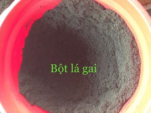 Polvo de Hoja de Ramio Finamente Molido para Procesamiento de Alimentos, Colorante Natural, Suministro a Granel, Fábrica OEM 13 ANGLE - Product Image 6