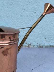 Cream Metal Watering Can with Dried Flowers Indoor Decor Vase <b>Garden</b> Accent Plant Container water can Metal eco-friendly water - Product Image 5
