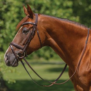 Brida de Cuero con Purpurina Personalizable para Caballo, Brida Anatómica Ecuestre con Purpurina, Riendas de Cuero Acolchadas Suaves - Product Image 1